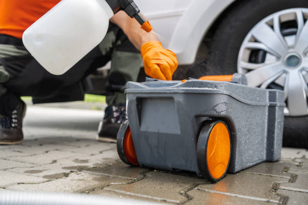 How Our Tree Care Process Works  in  Newport Beach, CA